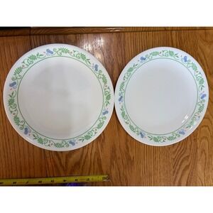 Corelle Country Cottage Plates • Set of 2 • 8.5" • Vintage Blue Floral Hearts